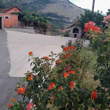 Apartman Vlacic Trebin Dış mekan fotoğraf